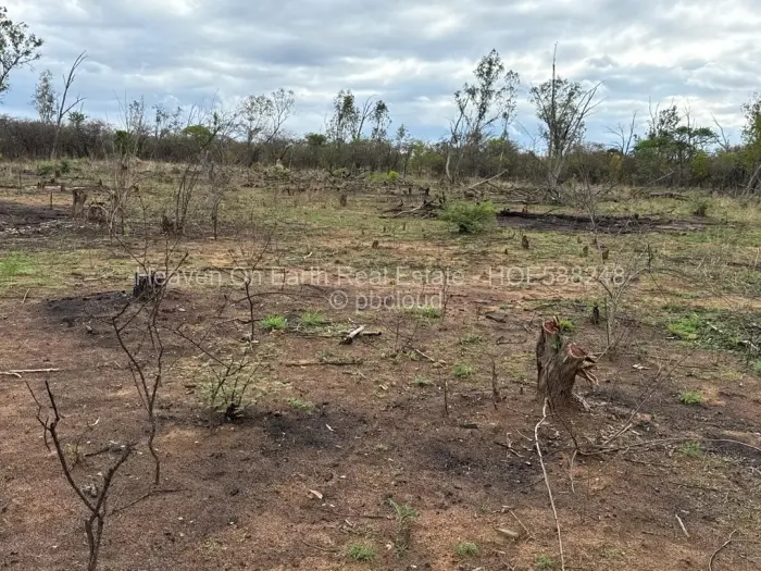 Farm/Plot for Sale in Selous, Selous