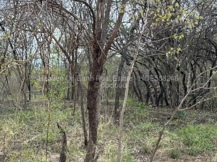 Farm/Plot for Sale in Selous, Selous