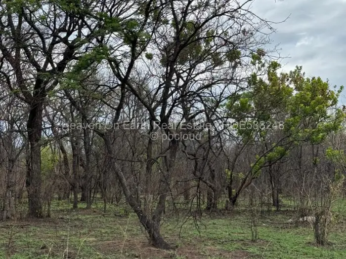 Farm/Plot for Sale in Selous, Selous