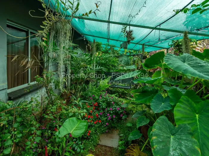 3 Bedroom House for Sale in Hillside, Harare