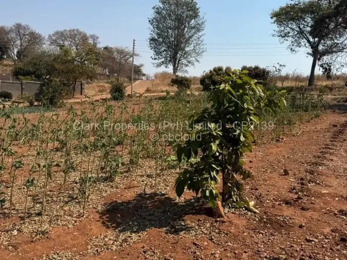 Residential Stand for Sale in Tynwald, Harare