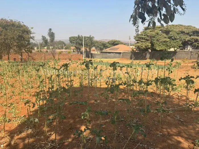 Residential Stand for Sale in Tynwald, Harare