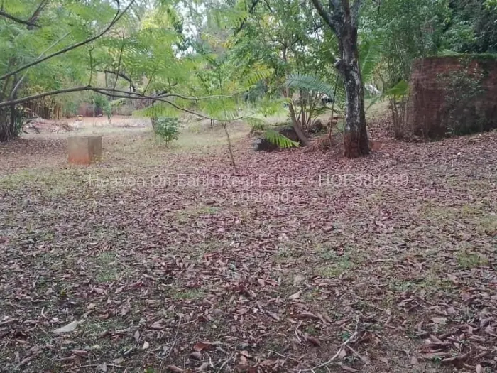 4 Bedroom House for Sale in Chisipite, Harare