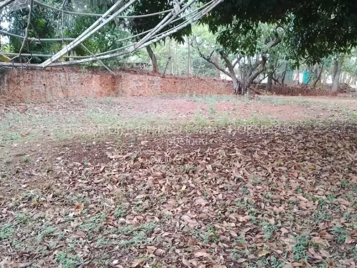 4 Bedroom House for Sale in Chisipite, Harare