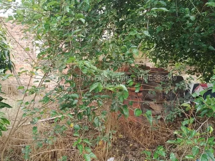 4 Bedroom House for Sale in Chisipite, Harare