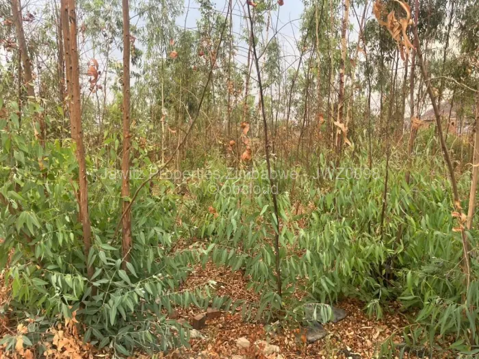 Residential Stand for Sale in Tynwald, Harare