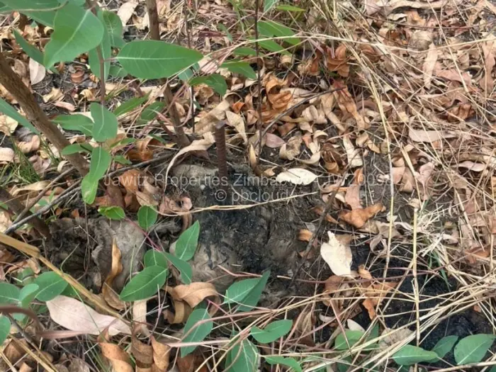 Residential Stand for Sale in Tynwald, Harare