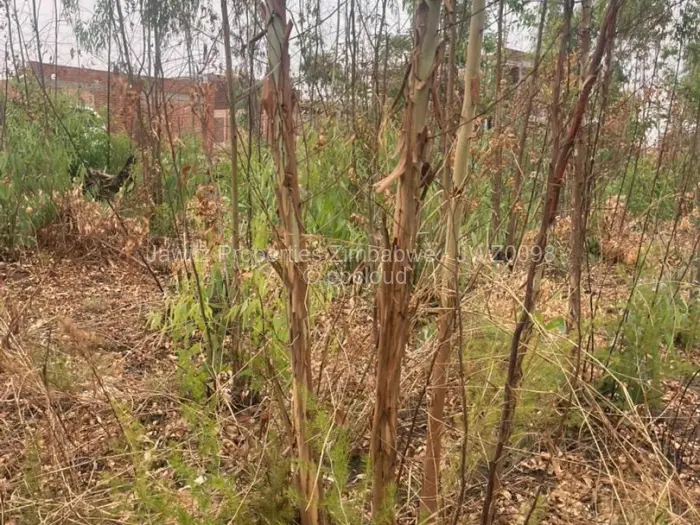 Residential Stand for Sale in Tynwald, Harare