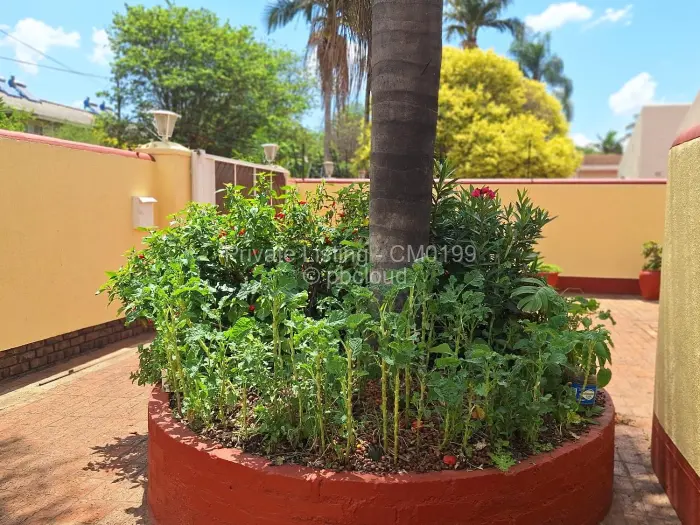 Townhouse/Cluster to Rent in Avondale