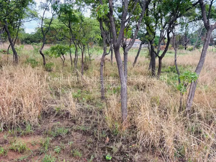 Residential Stand for Sale in Mabelreign, Harare