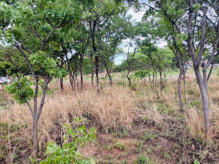 Residential Stand for Sale in Mabelreign, Harare