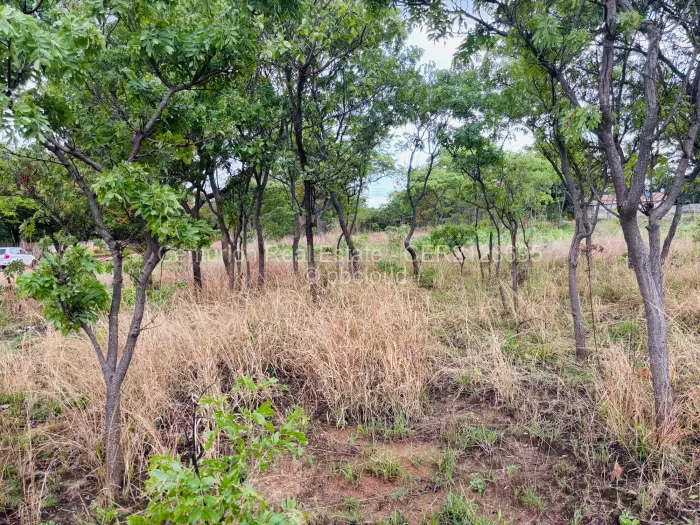 Residential Stand for Sale in Mabelreign, Harare