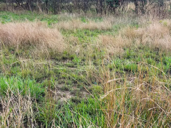 Residential Stand for Sale in Mabelreign, Harare