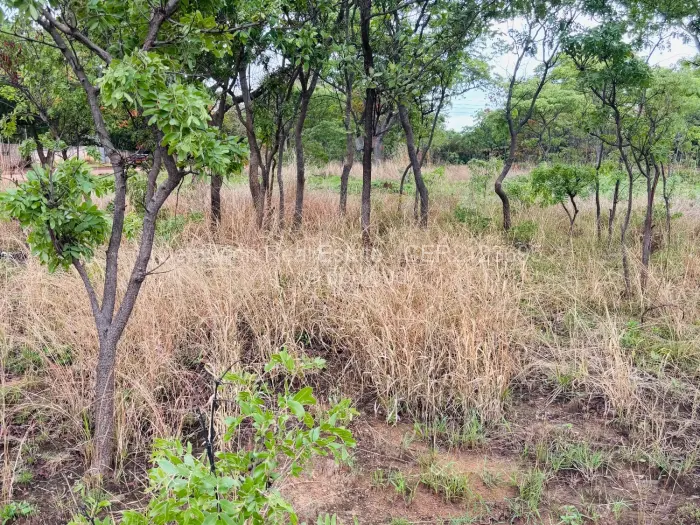 Residential Stand for Sale in Mabelreign, Harare