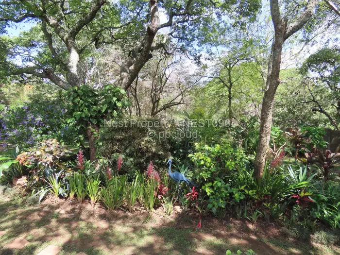 4 Bedroom House to Rent in Glen Lorne