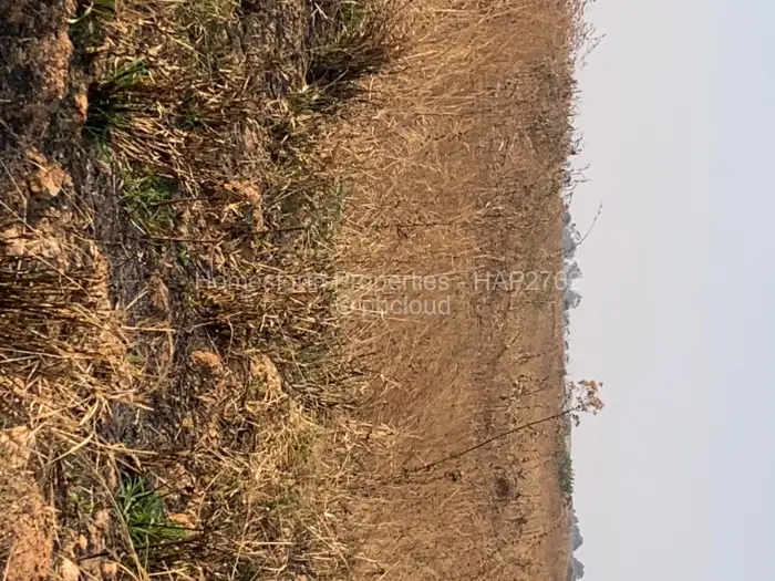 Industrial Stand for Sale in Ruwa, Ruwa