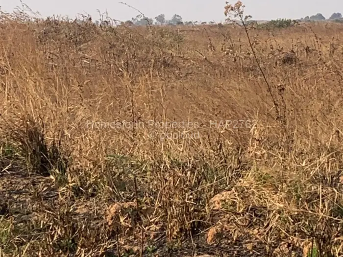 Industrial Stand for Sale in Ruwa, Ruwa