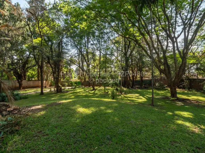 3 Bedroom House to Rent in Chisipite, Harare