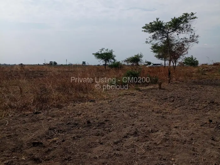 Farm/Plot for Sale in Zvimba, Zvimba