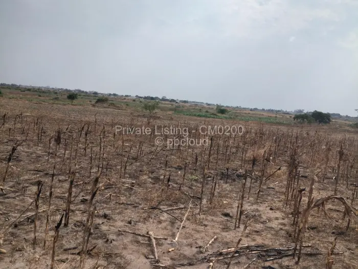 Farm/Plot for Sale in Zvimba, Zvimba