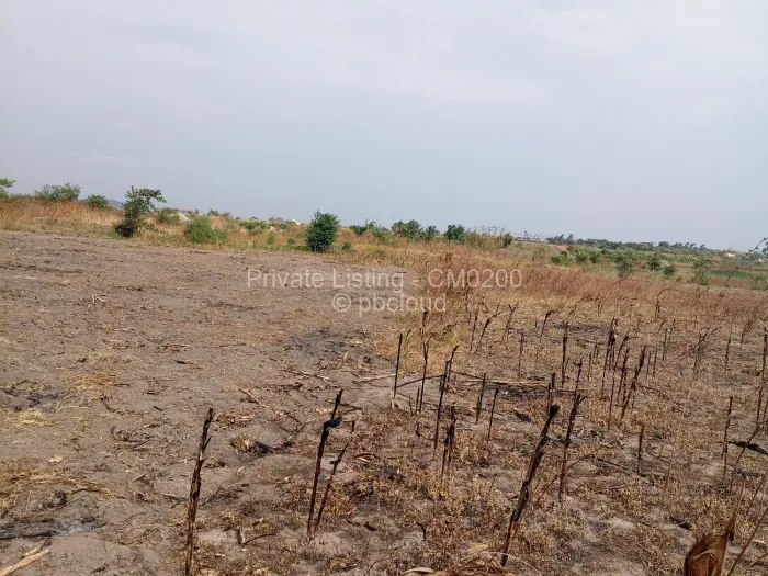 Farm/Plot for Sale in Zvimba, Zvimba