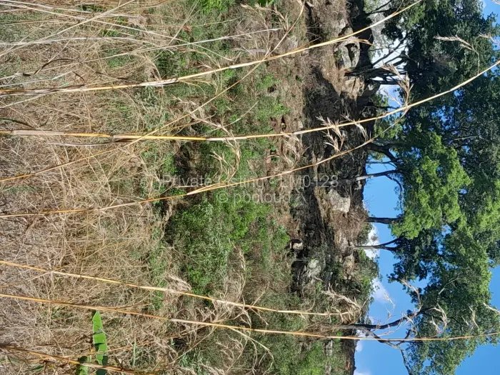 Residential Stand for Sale in Glen Lorne, Harare