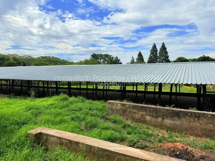 Farm/Plot for Sale in Umwinsidale, Harare