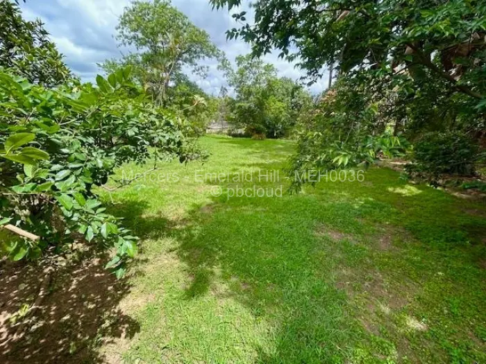 5 Bedroom House to Rent in Mandara