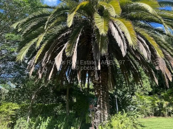 3 Bedroom House for Sale in Hillside Byo, Bulawayo