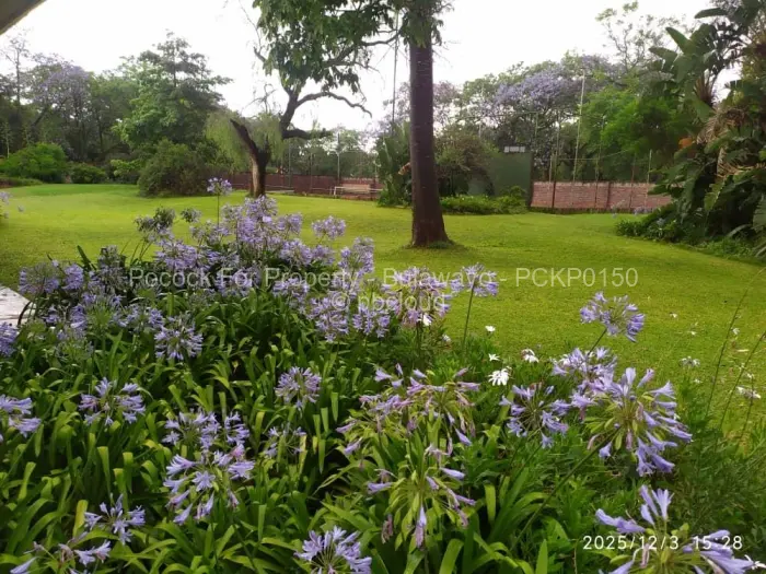 5 Bedroom House for Sale in Suburbs, Bulawayo