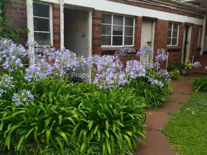 5 Bedroom House for Sale in Suburbs, Bulawayo