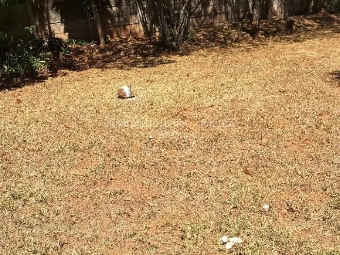 Residential Stand for Sale in Greystone Park, Harare