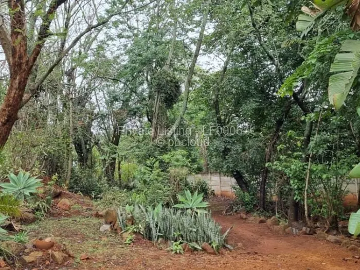 3 Bedroom House for Sale in Borrowdale, Harare