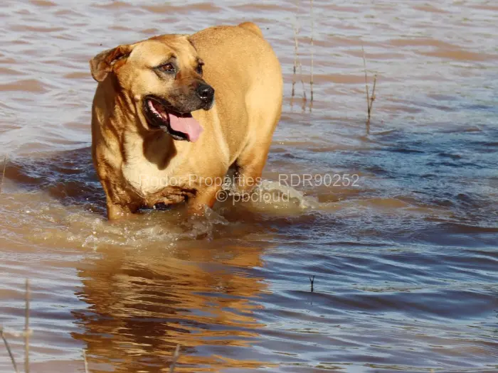 Farm/Plot for Sale in Worringham, Bulawayo