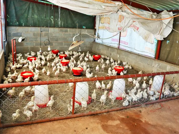 Farm/Plot for Sale in Worringham, Bulawayo