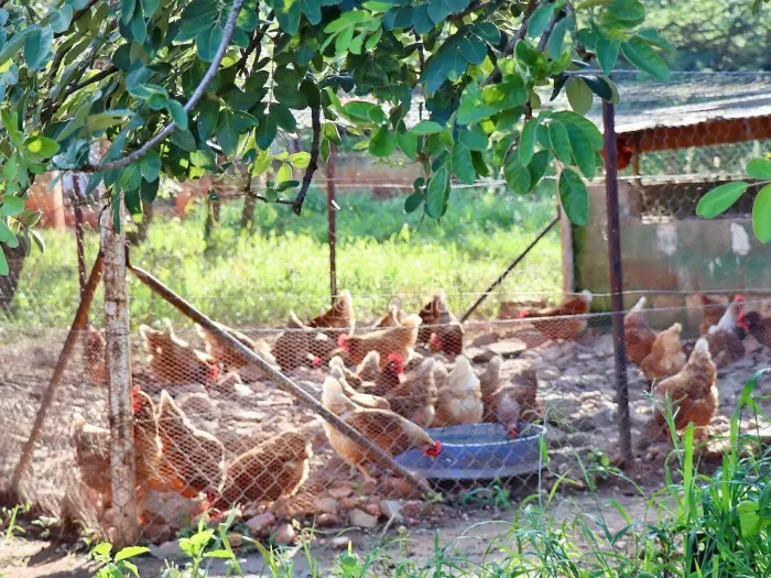 Farm/Plot for Sale in Worringham, Bulawayo