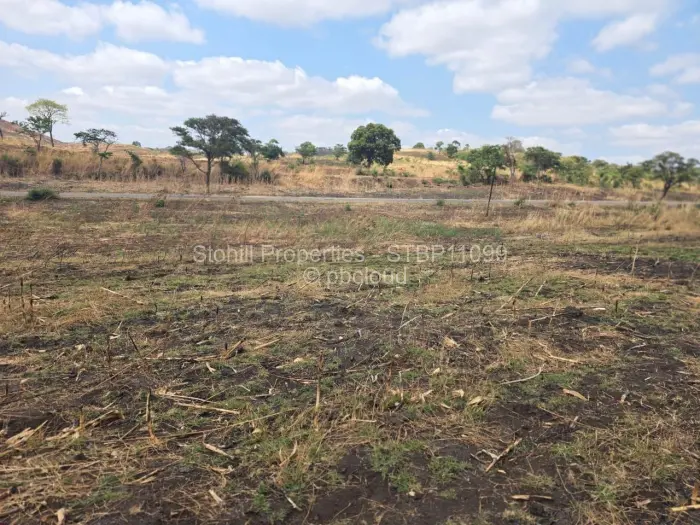 Residential Stand for Sale in Concession