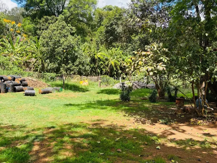 4 Bedroom House to Rent in Borrowdale, Harare