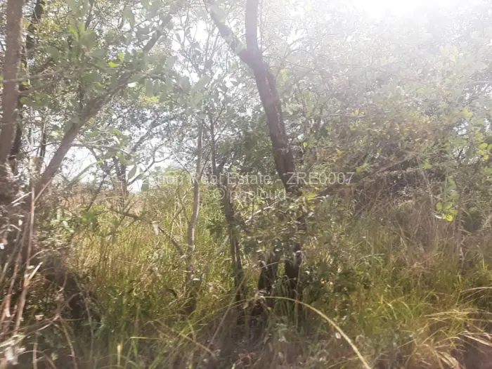 Farm/Plot for Sale in Beatrice, Beatrice