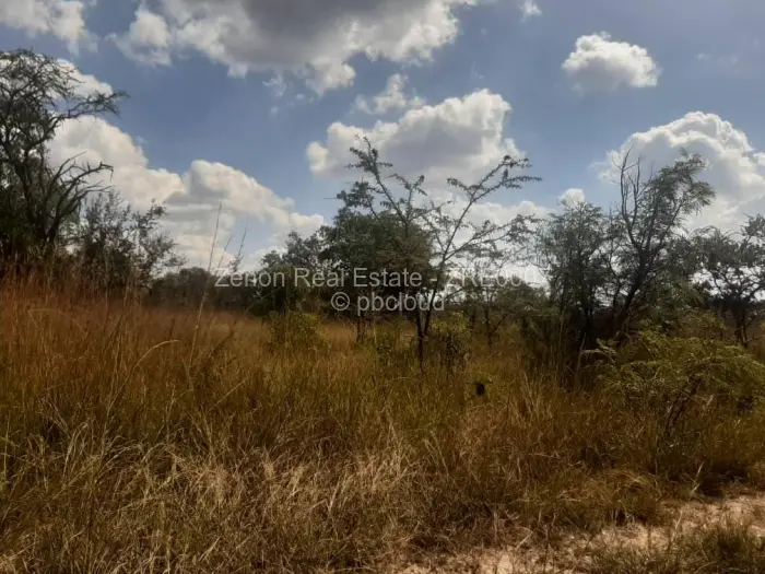 Farm/Plot for Sale in Beatrice, Beatrice