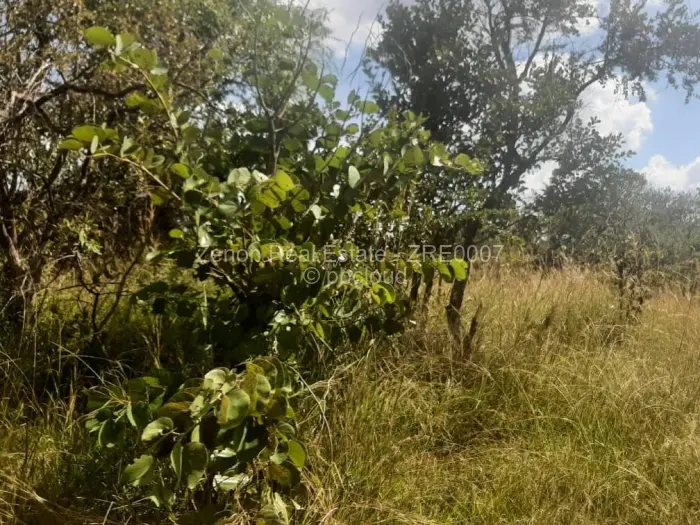 Farm/Plot for Sale in Beatrice, Beatrice