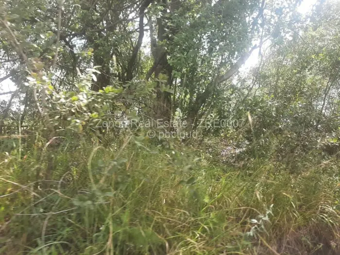 Farm/Plot for Sale in Beatrice, Beatrice