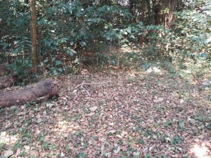 Farm/Plot for Sale in Vumba, Vumba