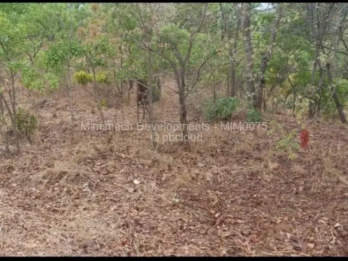 6 Bedroom House for Sale in Carrick Creagh Estate, Harare