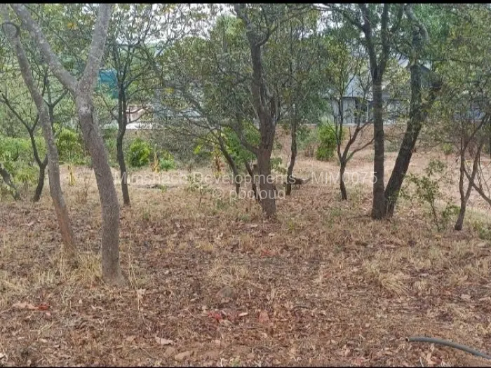 6 Bedroom House for Sale in Carrick Creagh Estate, Harare