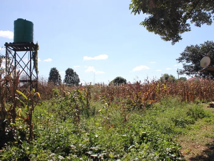 Residential Stand for Sale in Tynwald, Harare
