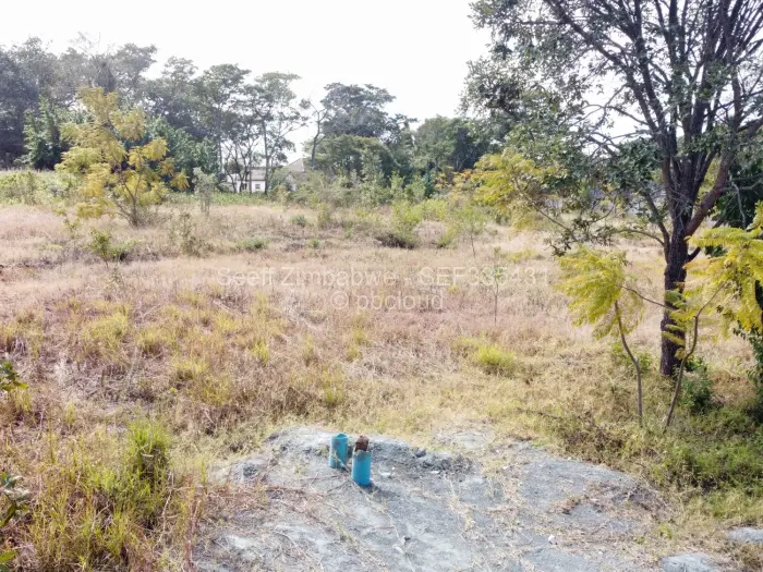 Residential Stand for Sale in Philadelphia, Harare