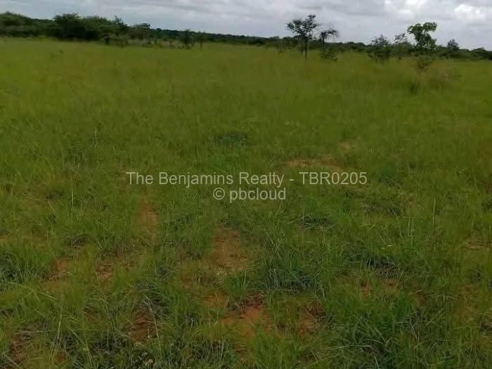 Commercial Stand for Sale in Kadoma, Kadoma