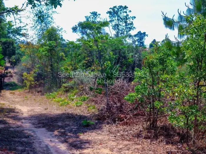 Residential Stand for Sale in Nyanga, Nyanga