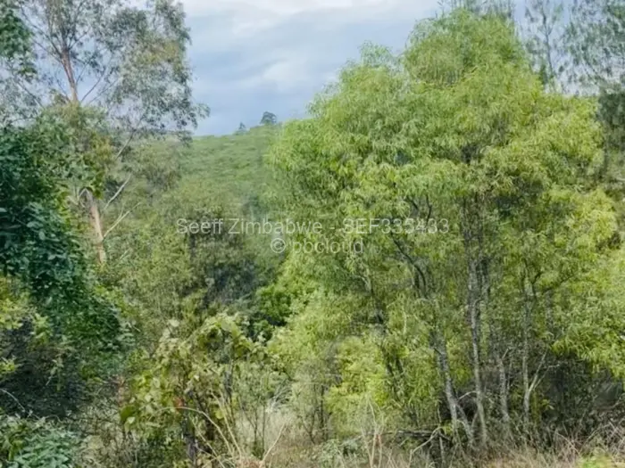 Residential Stand for Sale in Nyanga, Nyanga